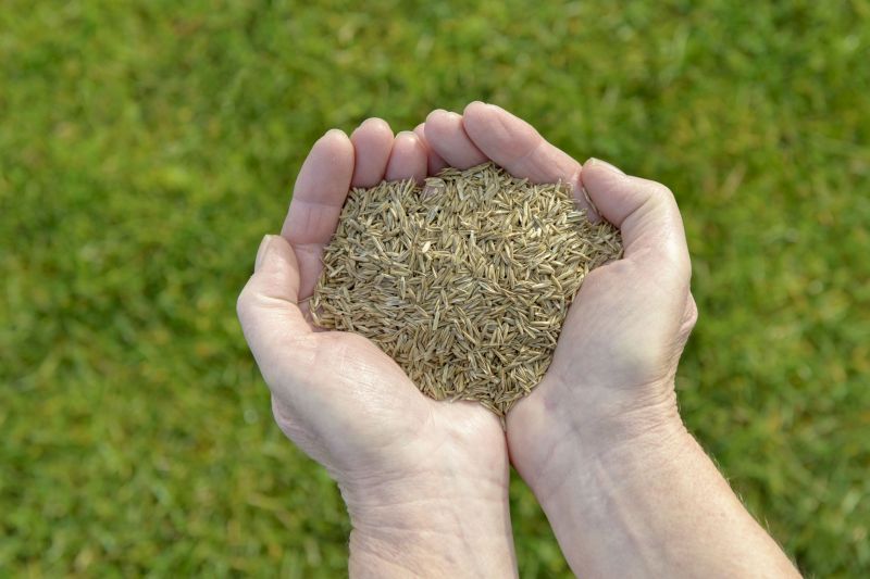 Landscaping Companies