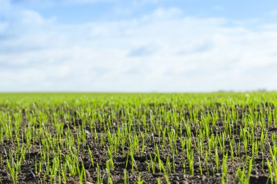 Agricultural Suppliers